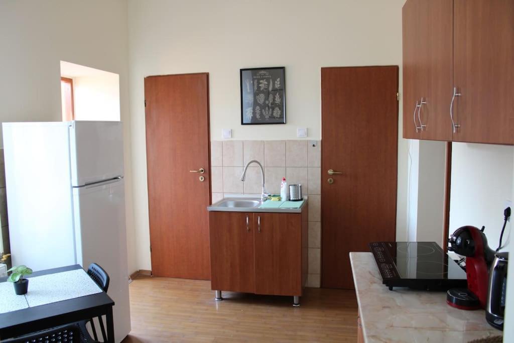 The Oasis By Downtown Apartments Târgu-Mureş Extérieur photo