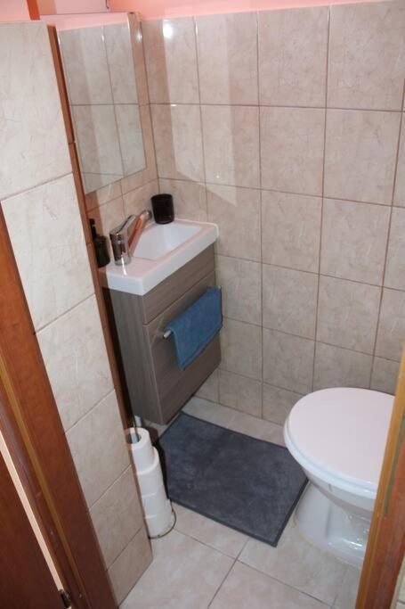 The Oasis By Downtown Apartments Târgu-Mureş Extérieur photo