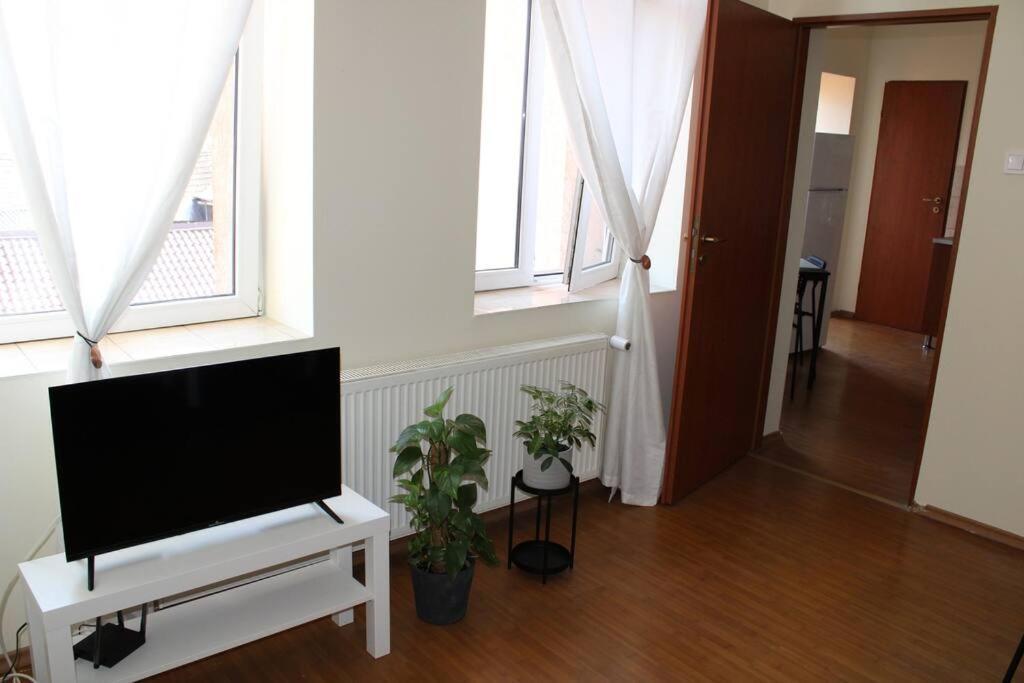 The Oasis By Downtown Apartments Târgu-Mureş Extérieur photo